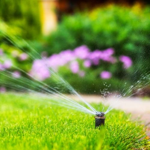 Sprinkler in Lawn